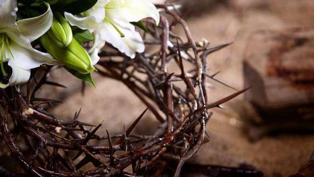 Снимка: Разпети петък е най-тъжният ден - всяко същество страда