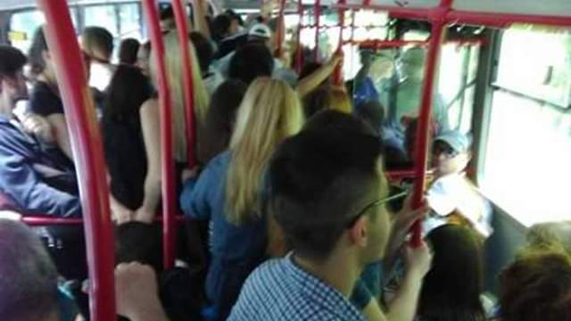 Снимка: Недлен излет на Витоша с автобус 63