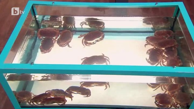 Участниците имат на пръв поглед лесна задача