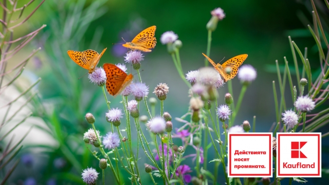 Снимка: Kaufland представя в доклад ангажимента си за устойчиви цветя и растения