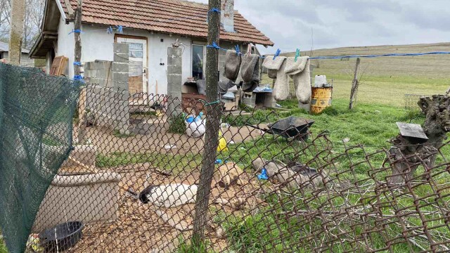 Снимка: Убийство в казанлъшкото село Енина