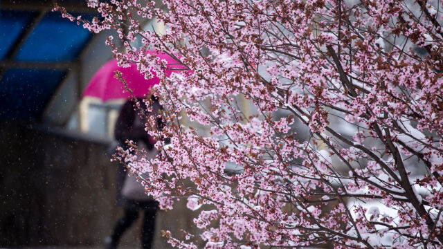 Снимка: Дъждовен вторник, на места със значителни превалявания