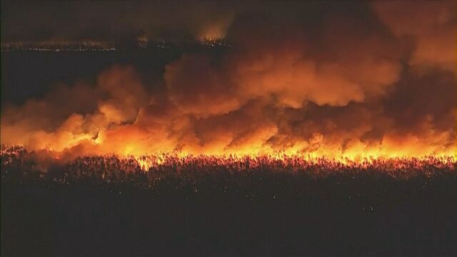 Вече са избухнали над 50: Сезонът на пожарите в Гърция започна