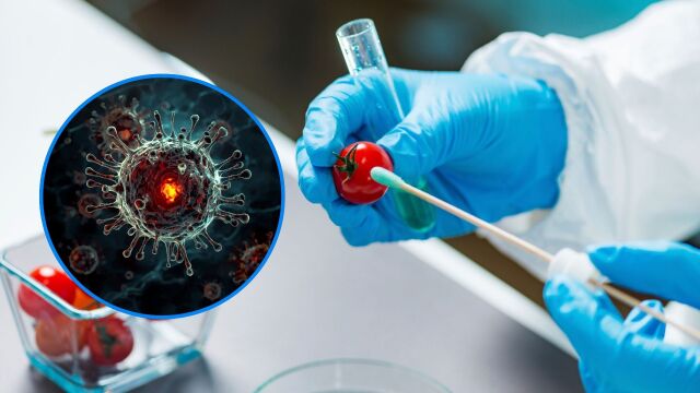 Снимка: Живеещите в земеделски райони имат 150% по-висок риск от рак