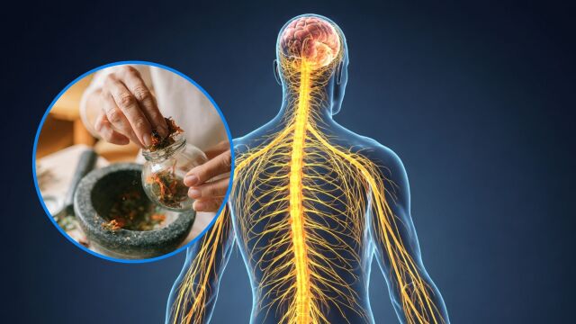 Снимка: 5 български билки за нервната система