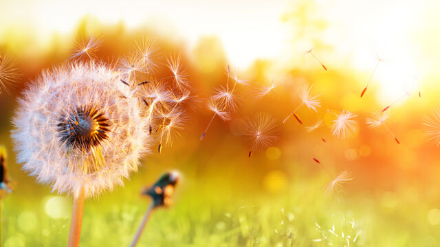 Температури до 24° и жълт код за силен вятър в 6 области във вторник – 7 април