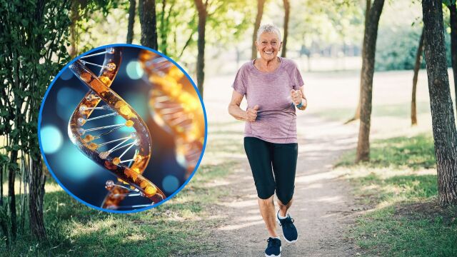 Снимка: Гени или начин на живот: Кое е по-важно, за да живеете по-дълго