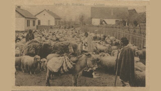 Снимка: Великденската трапеза преди 100 години: „Много хора не са опитвали агнешко в Румъния. Задоволявали са се с говеждо“