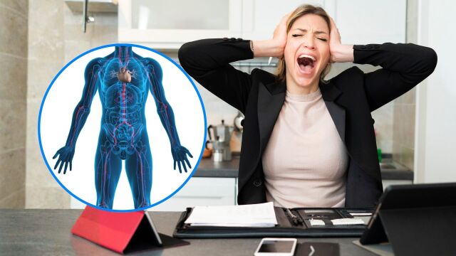 Снимка: Как стресът влияе на всеки орган от тялото
