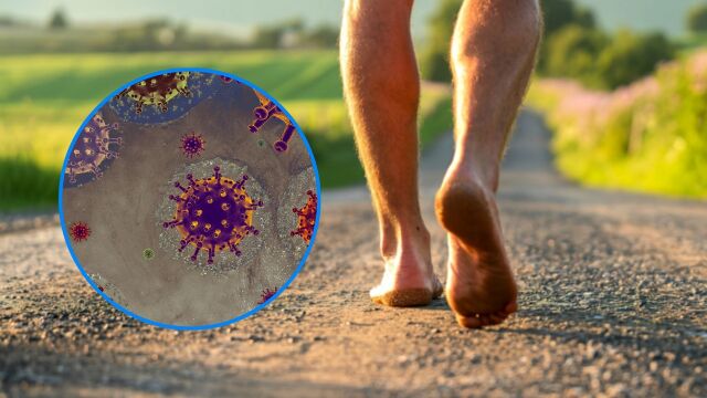 Снимка: Как 5 минути ходене бос променят имунната система