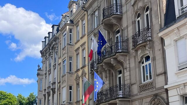 Изборният ден в Страсбург: Десетки българи се явиха пред урните (СНИМКИ)