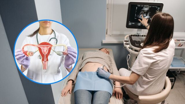 Снимка: Удебеляване на лигавицата на матката: 5 природни метода за фертилитет