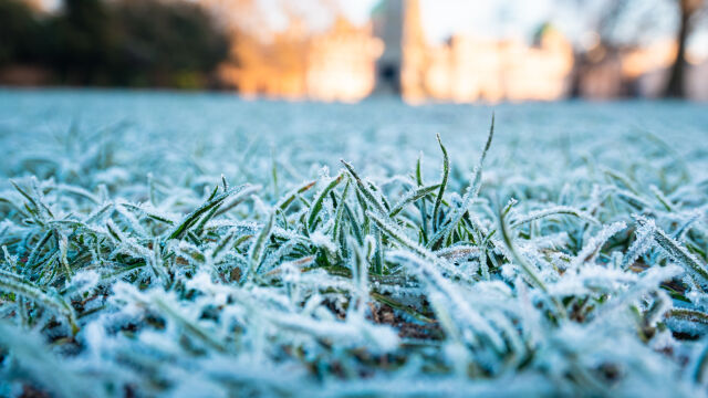 Жълт код за слани в 7 области за четвъртък – 23 април