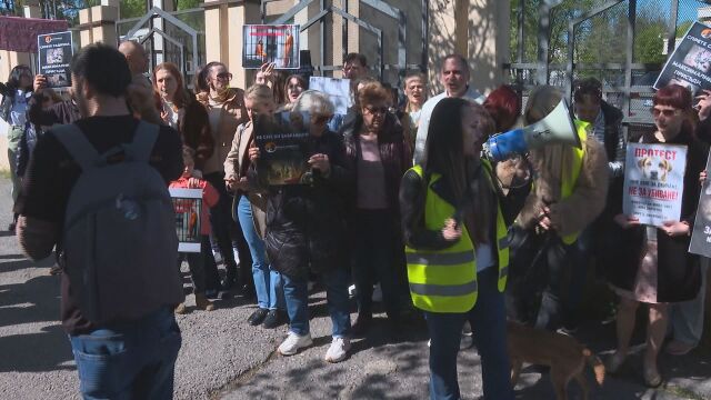 Делото за измъчване на животни: Пред Съдебната палата се проведе протест на природозащитници
