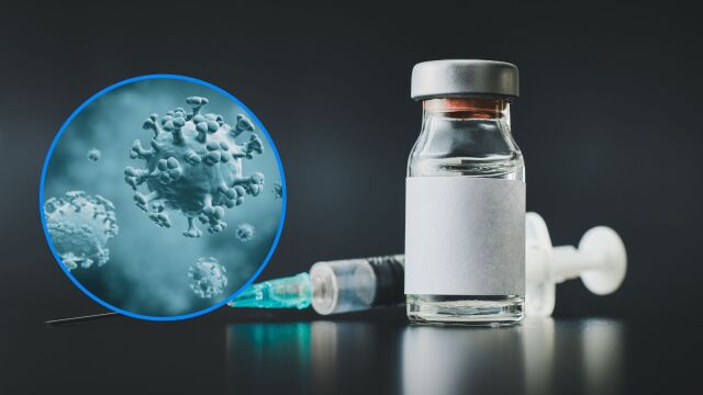 Снимка: Ваксина срещу птичи грип показва обещаващи резултати