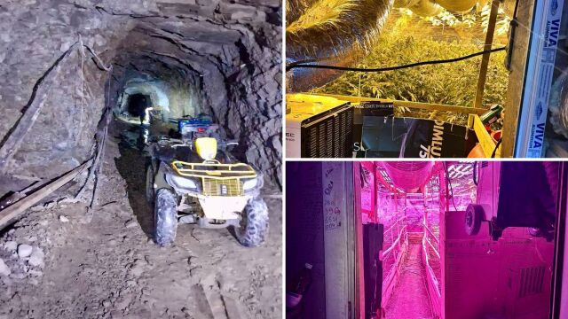 Наркооранжерии са открити в приватизираната оловно-цинкова мина в село Гърляно. Собственикът ѝ не е сред задържаните