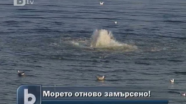 Снимка: Поредно замърсяване на плажа в Равда