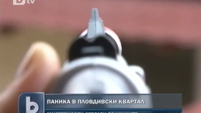 Снимка: Мистериозен стрелец избива котки в пловдивски квартал 