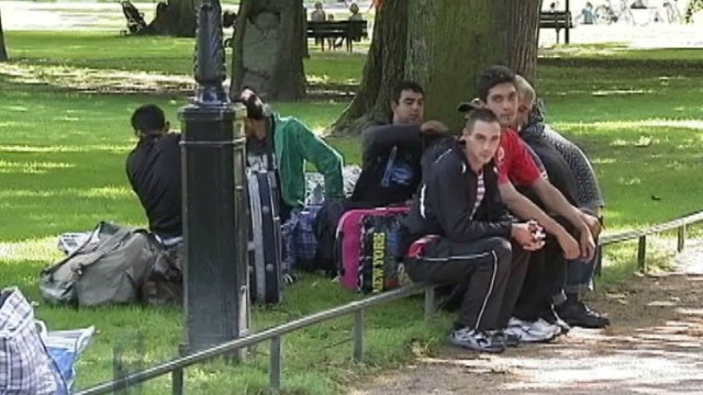Снимка: Излъганите берачи на боровинки в Швеция се завръщат