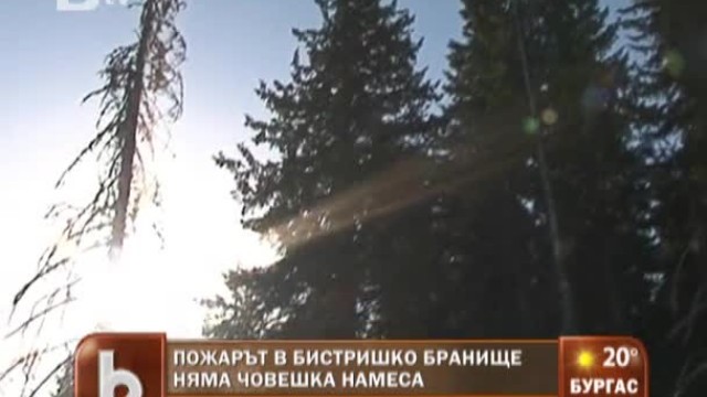 Снимка: След пожара в Бистришко бранище