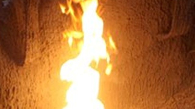 Снимка: Куче бе залято с бензин и запалено в Бургас