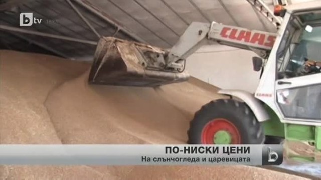 Снимка: bTV Новините - Централна емисия - 28.08.2013 г.