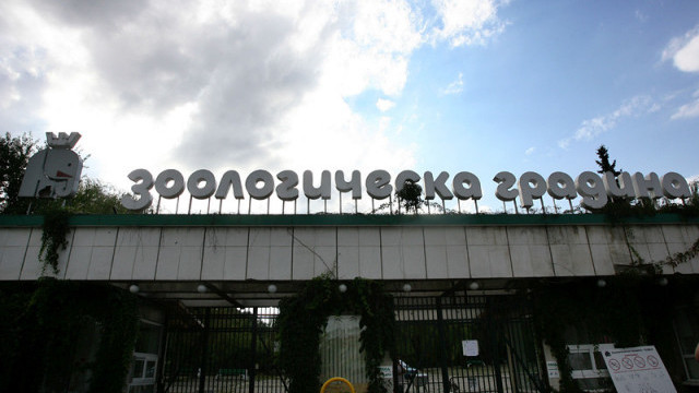 Снимка: Нови смъртни случаи в столичния зоопарк