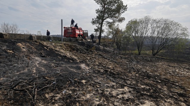 Снимка: Отново пожар в зоната край Чернобил, огънят е овладян 
