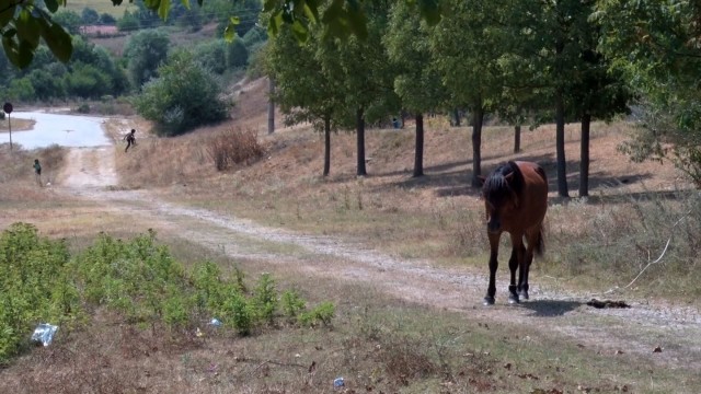 Снимка: Смядово на бунт заради ромски набези