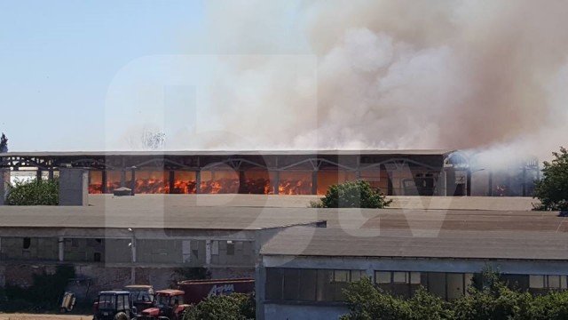 Снимка: Огромен пожар гори в Поповица