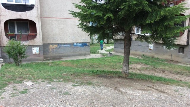 Снимка: Откриха труп на новородено в Перник