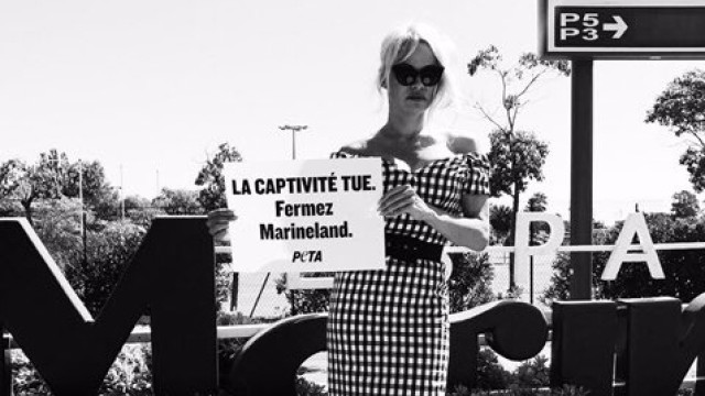 Снимка: Памела Андерсън протестира в защита на животните пред аквапарк 