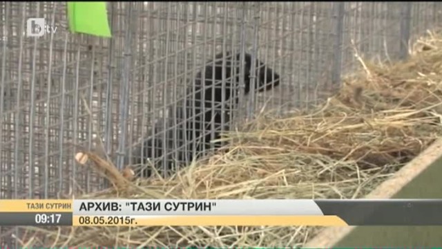 Снимка: Представители на десетки организации за защита на животните, природозащитници и граждани на протест срещу фермите за норки у нас