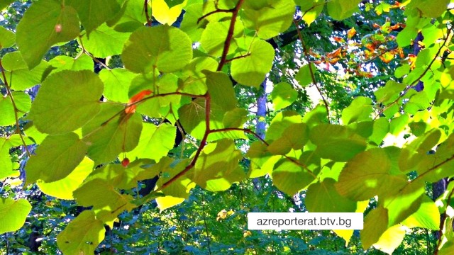 Снимка: Слънчева и гореща неделя