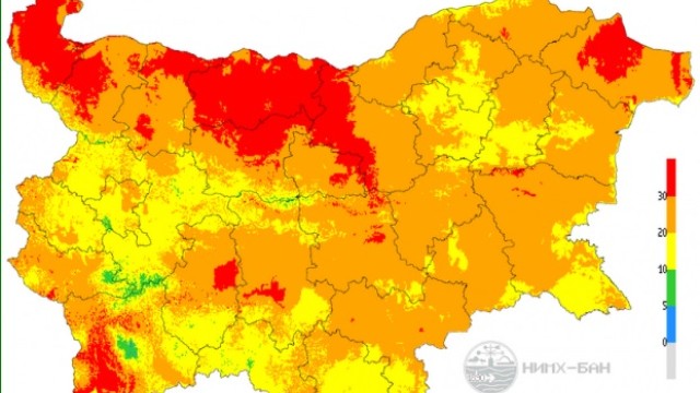 Снимка: 12 области са в екстремен риск от горски пожари