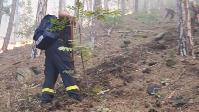 Снимка: Лесничеи смятат, че пожарът край Карлово е умишлен палеж