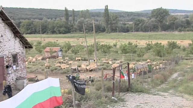 Снимка: 60 дни след първите проби: В Болярово няма животни със симптоми на чума