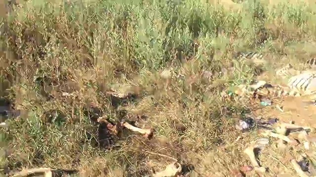 Снимка: Землището на горнооряховското село Писарево