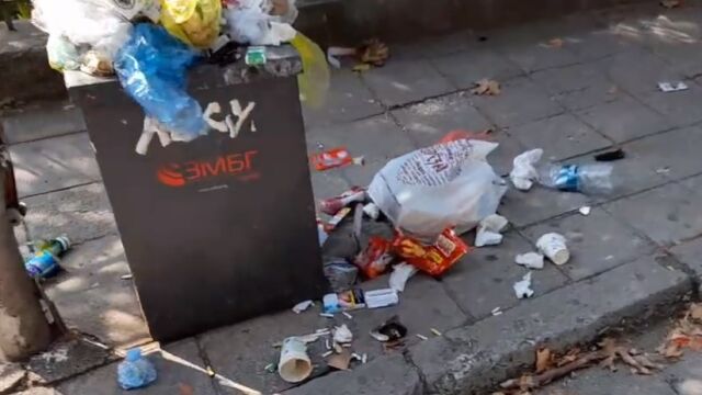 Снимка: По зрителски сигнал: Варна тъне в мръсотия