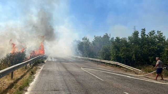 Снимка: Голям пожар гори между Плевен и Русе (ОБНОВЕНА)