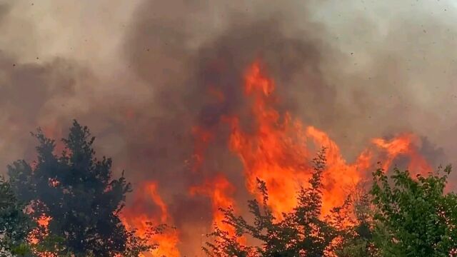 Снимка: Бедствено положение в община Харманли: Пожар между селата Изворово и Коларово 