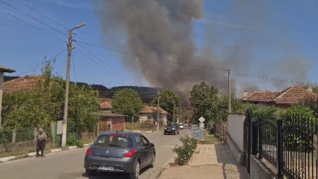 Снимка: Пожар в гората във видинското с. Гюргич (ВИДИН)