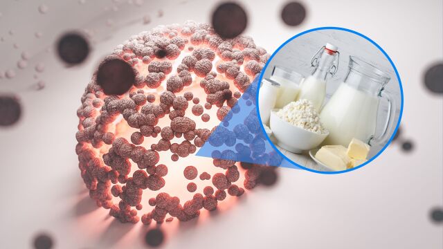 Снимка: Млечните продукти намаляват риска от 6 вида рак според ново проучване