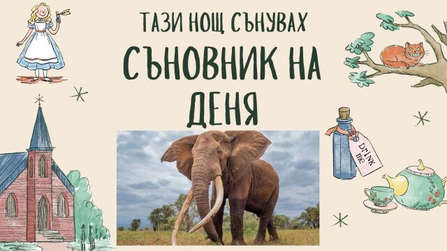 Снимка: Съновник: Какво означава да сънувате слон