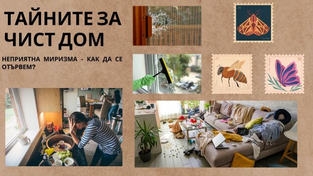 Снимка: Неприятна миризма у дома - ето как да се отървем