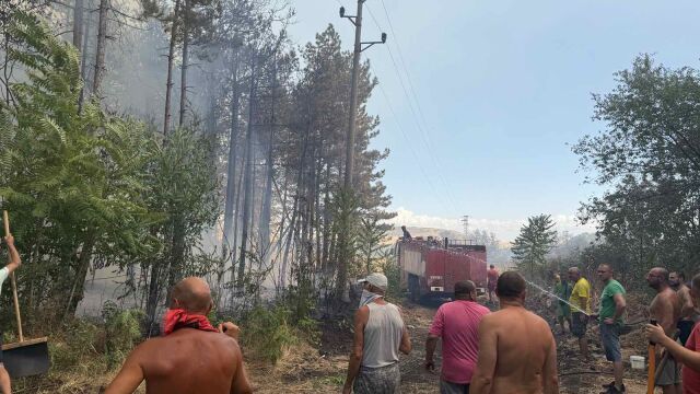 Има задържан за пожара във вилната зона на Българово