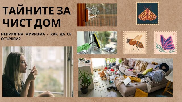 Снимка: Миризма от цигари у дома - ето как да се отървем 