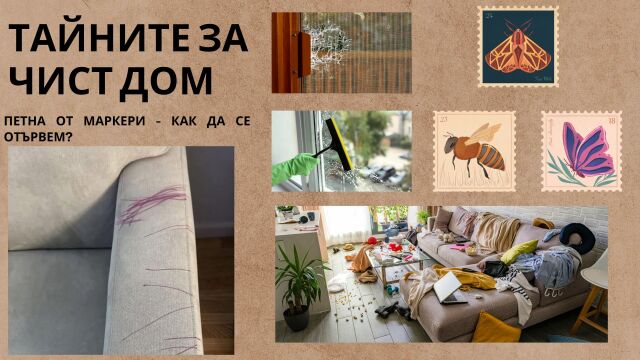 Снимка: Упорити петна от маркери по мебелите - ето как да ги премахнем