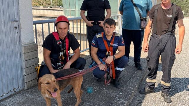 Снимка: При изключително опасни условия: Пожарникари извадиха куче от язовир