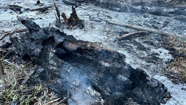 Снимка: Втори дрон е намерен в Румъния в района на границата с Украйна